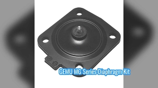 GEMU MG8 MG10 MG25 MG40 MG50 MG65 MG80 MG100 EPDM FDA Bộ dụng cụ màng ngăn cho Van màng GEMU
